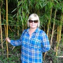  ,   , 50 ,   ,   , c , 