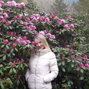 ���������� ���������, ���� ������� ����, 50 ���, ������������ ��� c�������� ���������