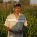  ,   , 36 ,   