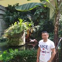 ���������� �������, ���� ������� Tudor, 40 ���, ������������ ��� ������, ����� � ���������, c�������� ���������