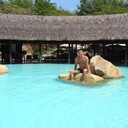 ���������� �����������, ���� ������� ���������, 35 ���, ������������ ��� ����� � ���������, c�������� ���������