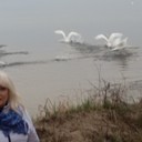  ,   , 55 ,   ,   , c 
