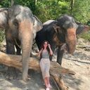 ���������� ������, ���� ������� ��������, 30 ���, ������������ ��� ������, ����� � ���������