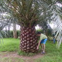  ,   , 42 ,   ,   , c 