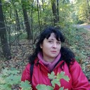  ,   , 53 ,   c 