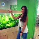 ���������� �����-���������, ���� ������� ����, 30 ���, ������������ ��� ������, ����� � ���������, c�������� ���������