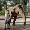 ���������� �����������, ���� ������� �������, 46 ���, ������������ ��� ������, ����� � ���������