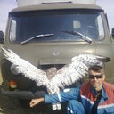  ,   , 51 ,   