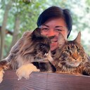 ���������� ������, ���� ������� �����, 48 ���, ������������ ��� ����� � ���������, c�������� ���������, ���������