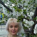 ���������� ������-��-����, ���� ������� ������, 52 ����, ������������ ��� ������, ����� � ���������