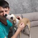 ���������� ���������, ���� ������� �������, 36 ���, ������������ ��� ������, ����� � ���������, c�������� ���������