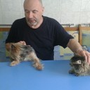  ,   , 72 ,   ,   , c 
