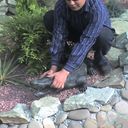 ���������� ��������, ���� ������� Arti, 39 ���, ������������ ��� ������, ����� � ���������, c�������� ���������, ���������