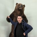  ,   , 43 ,   ,   , c 