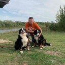  ,   , 54 ,   