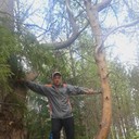  ,   Pasa, 44 ,     , c 