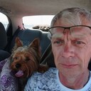   ,   , 61 ,   ,   