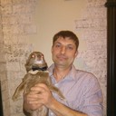 ���������� ������, ���� ������� ���������, 43 ����, ������������ ��� ������, ����� � ���������, c�������� ���������