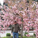  ,   , 41 ,     , c 
