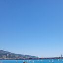  ,   Sharaf, 27 ,   ,   