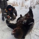  ,   , 49 ,   ,   , c 