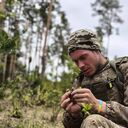 ���������� �������, ���� ������� ����, 28 ���, ������������ ��� ������, ����� � ���������, c�������� ���������, ���������