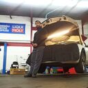 ���������� ������, ���� ������� Mirko, 38 ���, ������������ ��� c�������� ���������