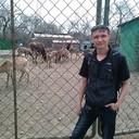 ���������� ���������, ���� ������� ��������, 36 ���, ������������ ��� ������, ����� � ���������, c�������� ���������