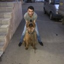  ,   , 30 ,   ,   