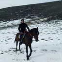 ���������� �����������, ���� ������� �����, 27 ���, ������������ ��� ������, ����� � ���������, c�������� ���������, ���������