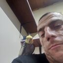 ���������� ����, ���� ������� ����, 33 ����, ������������ ��� ����� � ���������, c�������� ���������