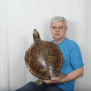 ���������� ������, ���� ������� ������, 72 ����, ������������ ��� ������