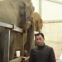  ,   Giorgi, 42 ,   ,   , c 