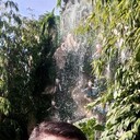  ,   , 44 ,   ,   , 