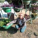  --,   , 53 ,   ,   