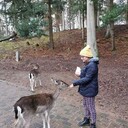 ���������� �����������, ���� ������� ����, 27 ���, ������������ ��� c�������� ���������