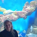 ���������� �����, ���� ������� �������, 43 ����, ������������ ��� ����� � ���������, c�������� ���������