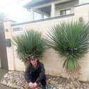  ,   , 44 ,   ,   , c , 