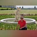  ,   , 62 ,   ,   , c 