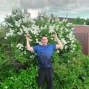 ���������� �����-���������, ���� ������� �������, 38 ���, ������������ ��� ����� � ���������, c�������� ���������