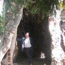 ���������� ��������, ���� ������� ����, 40 ���, ������������ ��� ������, ����� � ���������, c�������� ���������