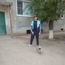 ���������� ���������, ���� ������� ���������, 37 ���, ������������ ��� ������, ����� � ���������