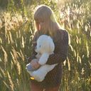 ���������� ��������, ���� ������� ����, 28 ���, ������������ ��� ������