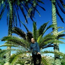 ���������� ���������, ���� ������� ������, 48 ���, ������������ ��� ������, ����� � ���������, c�������� ���������