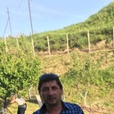 ���������� �������, ���� ������� Besiki, 51 ���, ������������ ��� ������, ����� � ���������, c�������� ���������