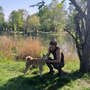 ���������� ����, ���� ����� ����, 25 ���, ������������ ��� ������, ����� � ���������