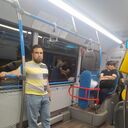  -,   Alisher, 33 ,   ,   , c 