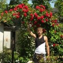 ���������� ������, ���� ������� ������, 40 ���, ������������ ��� ������, ����� � ���������, c�������� ���������