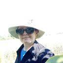 ,    , 54 ,  