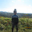  ,   , 41 ,   